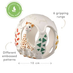 Sensory teething ball
