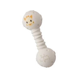 Teething rattle